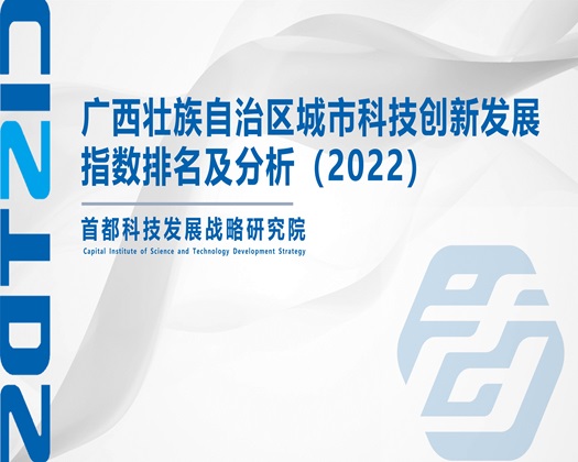 操白丝短裙骚货【成果发布】广西壮族自治区城市科技创新发展指数排名及分析（2022）